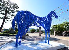 새강자의 노래 의 사진